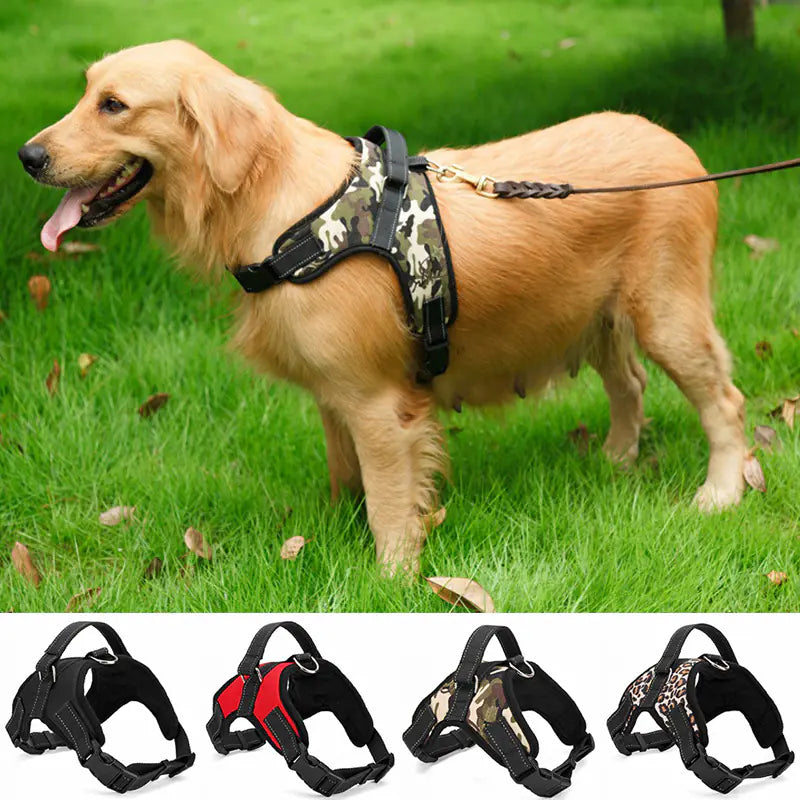 Medium and Large Camo Dog Collar