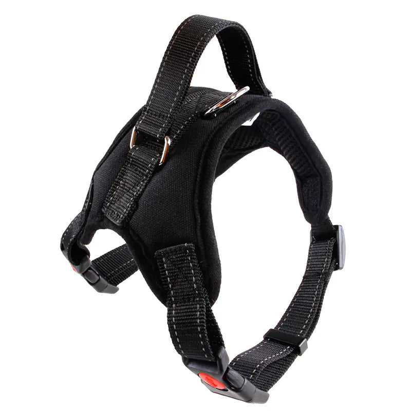 Medium and Large Camo Dog Collar