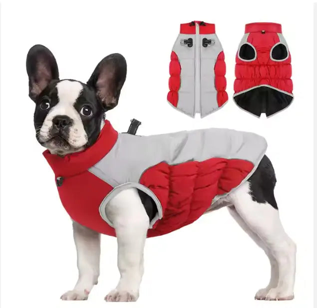 Windproof Winter Pet Coat