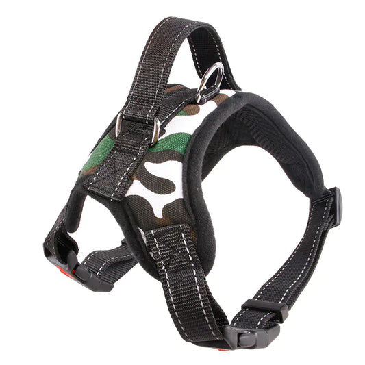 Medium and Large Camo Dog Collar